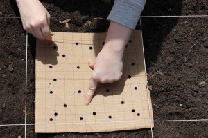 Square foot gardening guide